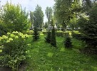 2-pokojowe mieszkanie na Woli - 8