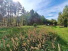 Działka przy lesie 1tys m Helenów gm Głowno - 3