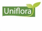 Firma UNIFLORA zatrudni pracowników produkcji