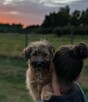 Śliczna pogodna dziewczynka poleca się do adopcji - 10