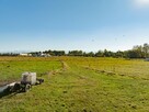 Działka w Nowym Targu - Rolna - 10