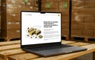 Strony internetowe dla firm – nowoczesne, szybkie, z SEO - 7