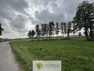 Działka 300 m² z warunkami zabudowy – Kozjaty, gm. Topólka - 5