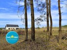 Działka budowlana Skrybicze gm. Zabłudów - 15