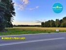 Działka budowlana Czosnówka gm. Biała Podlaska - 14