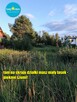 Działka budowlana Czosnówka gm. Biała Podlaska - 15