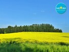 Działka budowlana Hermanówka gm. Juchnowiec Kościelny - 7