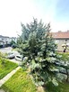 Krzyki/Grecka/Fabryczna/Muchobór/na wynajem/2 pok/ogród - 16