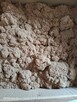 Oddam za darmo pył - 2