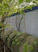 Syndyk sprzeda z wolnej ręki sześć kontenerów socjalnych - 10