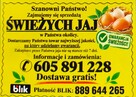 Praca fizyczna