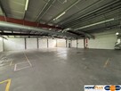 Hala 1100m2+grunt 1,6ha produkcja składy magazyny - 4