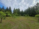 Działka usługowa 2100m2 Zakręt 5 minut od Warszawy - 13