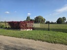 Działa budowlana z WZ(dom ) . Dobry dojazd z W-wy stawy,rzeka,lasy,. - 3