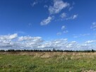 Działki w Sieciechowie, gm. Nowogard. 954 m2. - 1