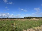 Działki w Sieciechowie, gm. Nowogard. 954 m2. - 3