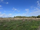Działki w Sieciechowie, gm. Nowogard. 954 m2. - 4
