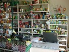 Lokal użytkowy Miłoszyce gm. Jelcz-Laskowice, Przy Lesie - 9