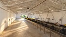 Lokal użytkowy Szczecin Wielgowo - 7
