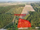 Działka Promnik gm. Strawczyn - 1