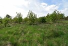 Działka Piekoszów - 2