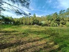 Działka rekreacyjna Helenów gm. Głowno - 8