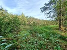 Działka rekreacyjna Helenów gm. Głowno - 9