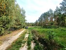 Działka rekreacyjna Helenów gm. Głowno - 11