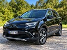 Toyota RAV-4