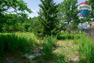 Działka 1308m2, Milanówek - 8