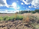 Działka budowlana Lipno, - 13