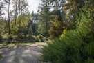 Unikalna posiadłość nad Brdą w sercu lasu, 2,5ha - 11