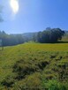 Na sprzedaż nieruchomości gruntowe Trzebieszowice
