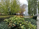 Powierzchnia biurowa Warszawa Śródmieście