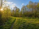Działka budowlana OPoczno gm. Opoczno Opoczno - 3