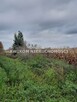 Działka siedliskowa Zazdrość gm. Radziejowice - 1