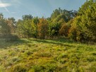 Działka Budowlana - SPRZEDAŻ - Siepraw - 6