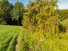 Działka Budowlana - SPRZEDAŻ - Siepraw - 10