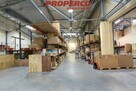 Lokal użytkowy Bilcza gm. Morawica