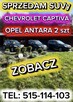 3 sztuki Opel Antara Chevrolet Captiva - ZOBACZ Dobre Auta - 1