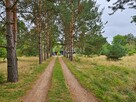 Działka rekreacyjna Nowe Żukowice gm. Lisia Góra