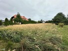 Działka budowlana Kowala gm. Sitkówka-Nowiny Kowala - 4