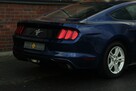 Ford Mustang 305KM*Automat*Xenon*Led*Kamera*Alu*Komp*Temp*Klimatyzacja*MegaKolor!!! - 8