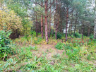 Działka budowlana Łoś gm. Prażmów, - 6