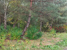 Działka budowlana Łoś gm. Prażmów, - 7