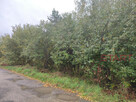 Działka budowlana Łoś gm. Prażmów, - 12
