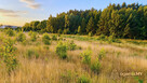 Mosty | 147 m² | 5 pokoi | garaż | ogród | Błękitna Mila - 7