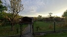 Dzialka rekreacyjna ROD