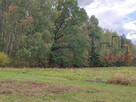 Działka budowlana Prace Duże gm. Tarczyn, - 1