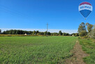 Działka budowlana 4180m2, Benenard, gm. Radziejowice - 1